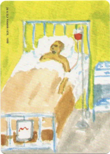 26