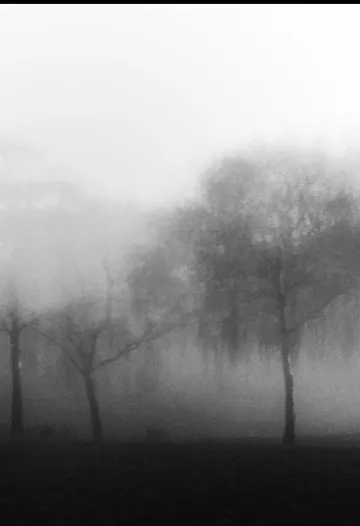 Untitled image