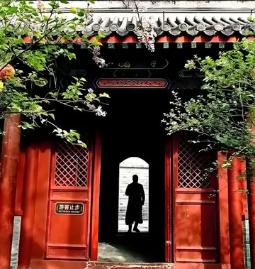 前景构图3