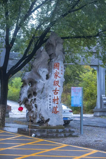DSC71612510070133