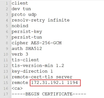 openvpn配置文件改ip和端口