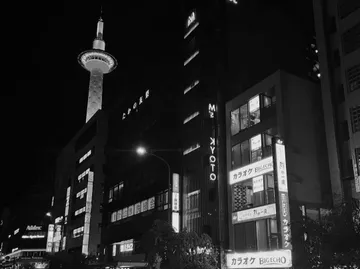Untitled image