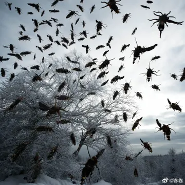 Untitled image
