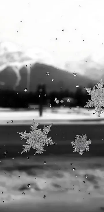 Untitled image