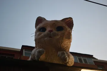 DSC 0898