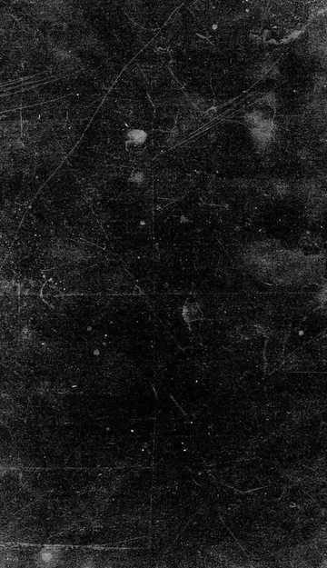 Untitled image