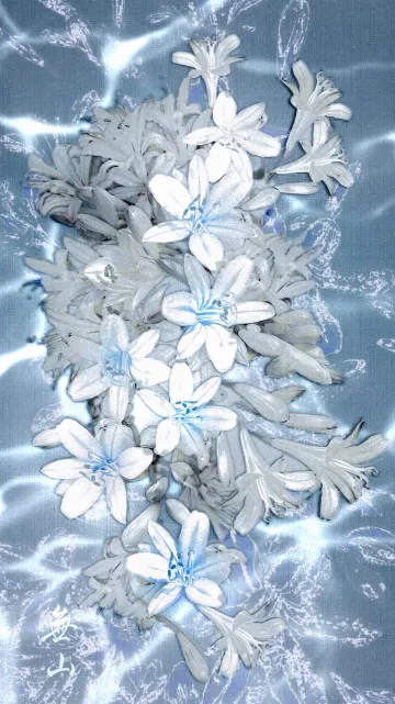 Untitled image