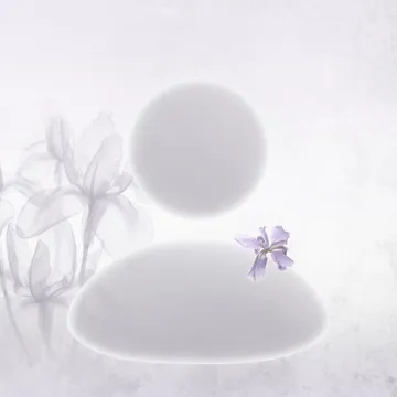 Untitled image