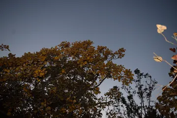 DSC 0497