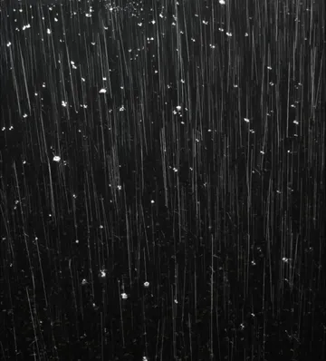 Untitled image