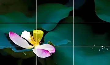 三分图1