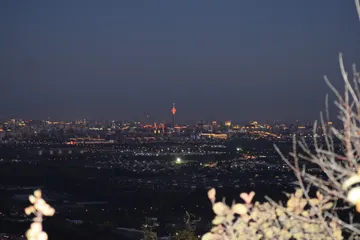 DSC 0524
