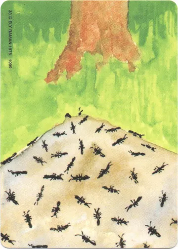 33