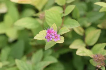 DSC 0373