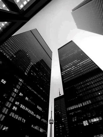 Untitled image