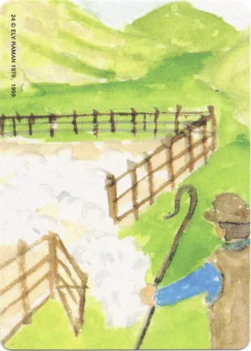 24