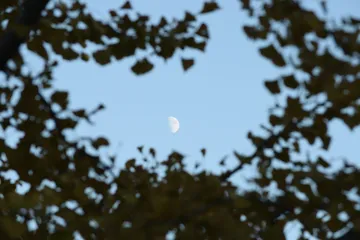 DSC 0432