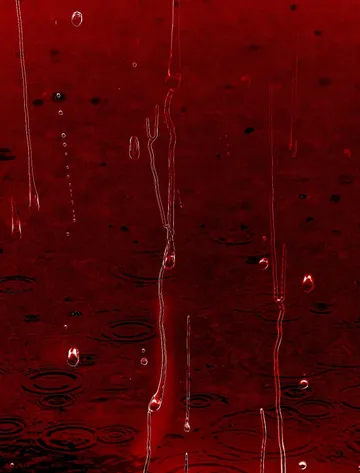 Untitled image