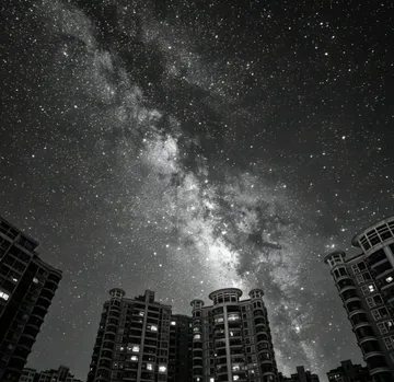 Untitled image