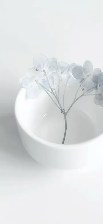 Untitled image
