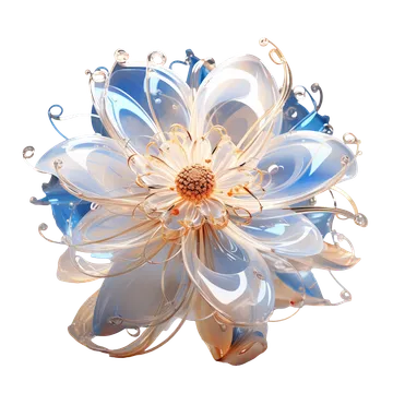 昙花一现