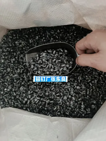 1000097755
