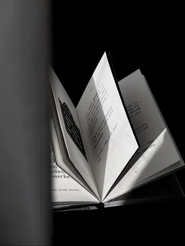 Untitled image