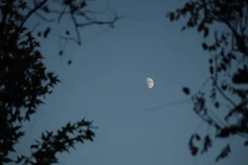 DSC 0456