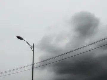 Untitled image