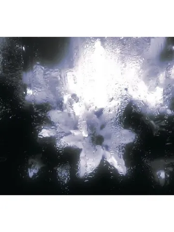 1000048008-93ba2c