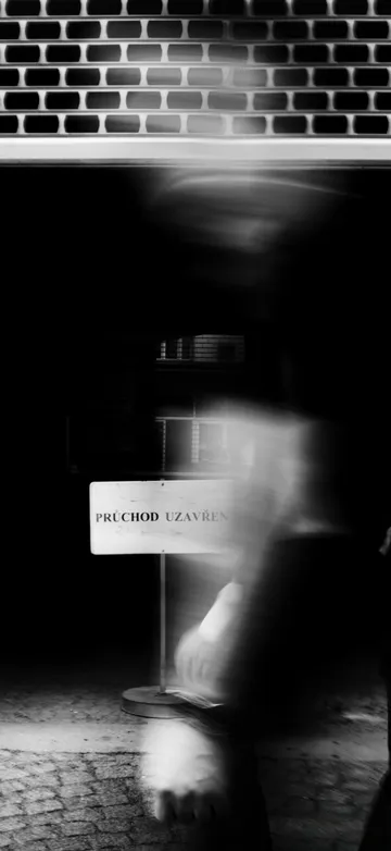Untitled image