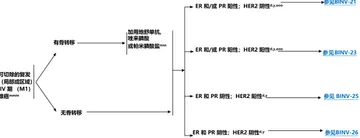 e6b106418cfe6ce539d03c707349b4fc7958b40c420a3ad7332d236254e8b70c