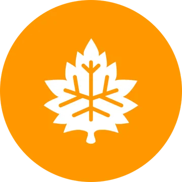 图标