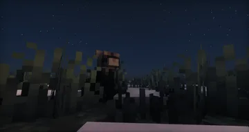 2025 08 11 00.16.41