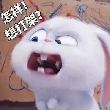 q20