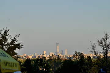 DSC 0423