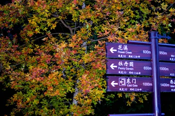 DSC 0445