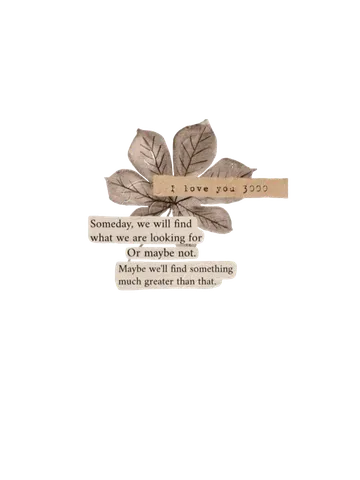 Untitled image