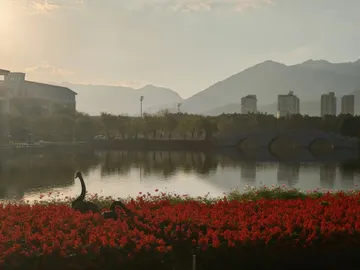 保生桥 (4)