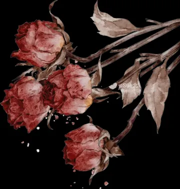 Untitled image
