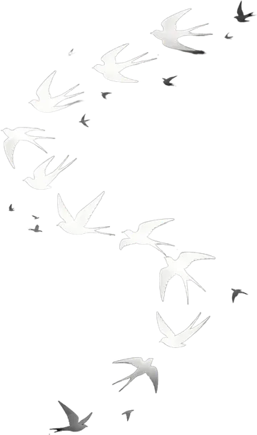 Untitled image