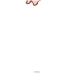 w58