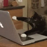 w89