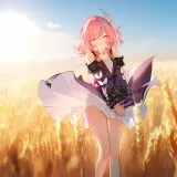 IMG 0699