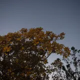 DSC 0497