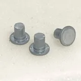 1000097095