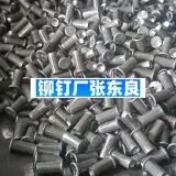 1000098870