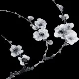 Untitled image