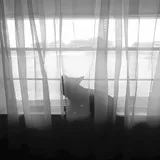 Untitled image