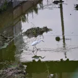 DSC 0384